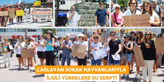 ÇAĞLAYAN SOKAK HAYVANLARIYLA İLGİLİ YÜREKLERE SU SERPTİ