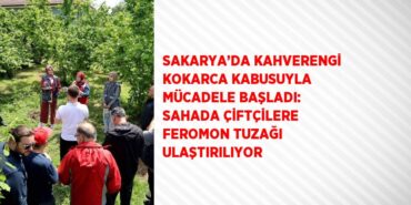 26932236112764220531