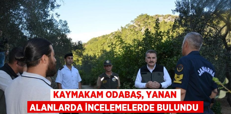 26935316393188827270tasarimli