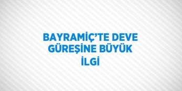 26939275612356727646tasarimli