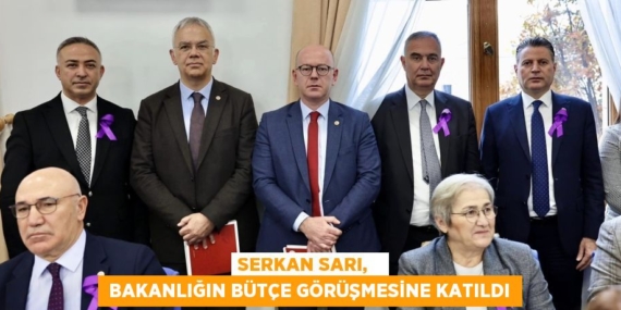 SERKAN SARI,    BAKANLIĞIN BÜTÇE GÖRÜŞMESİNE KATILDI