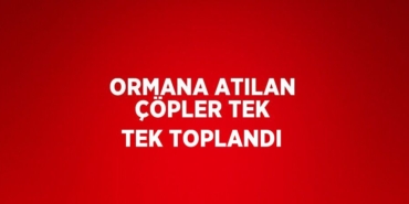 26946254392589931407tasarimli