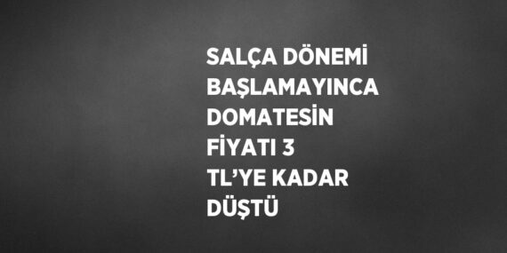 SALÇA DÖNEMİ BAŞLAMAYINCA DOMATESİN FİYATI 3 TL’YE KADAR DÜŞTÜ