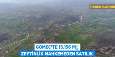 26960223722553328169tasarimli