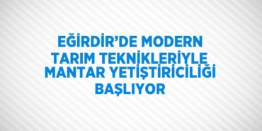 26976313092464825577tasarimli