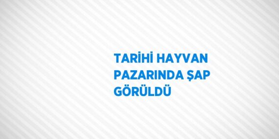 TARİHİ HAYVAN PAZARINDA ŞAP GÖRÜLDÜ