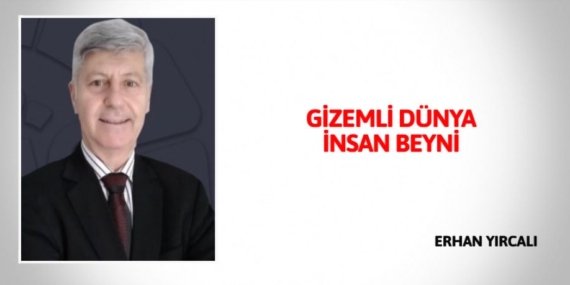 GİZEMLİ DÜNYA İNSAN BEYNİ