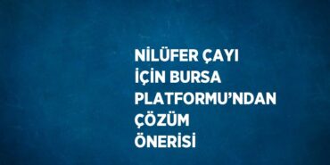 26982251412036424408