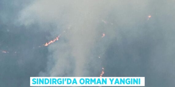 SINDIRGI’DA ORMAN YANGINI