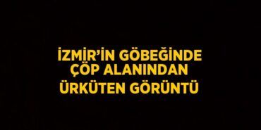 27002308223108126591tasarimli