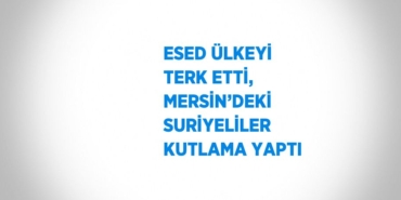 27004305702978031313