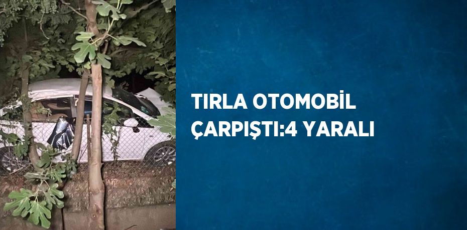 27005283922364926081