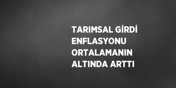 TARIMSAL GİRDİ ENFLASYONU ORTALAMANIN ALTINDA ARTTI