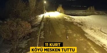 27042309612312530277tasarimli
