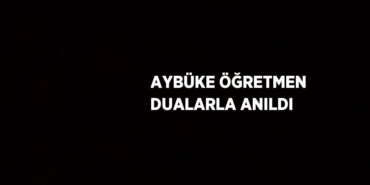 27050225672192229116