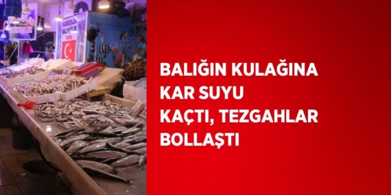 BALIĞIN KULAĞINA KAR SUYU KAÇTI, TEZGAHLAR BOLLAŞTI