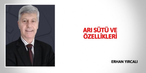 ARI SÜTÜ VE ÖZELLİKLERİ