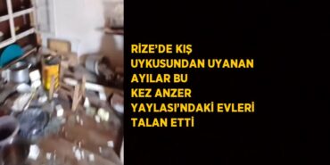 27058206762432326310