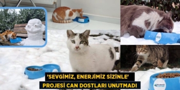 27063239182695923625tasarimli