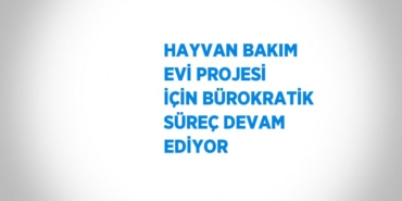 27076282102468228749