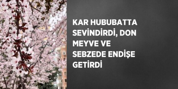 KAR HUBUBATTA SEVİNDİRDİ, DON MEYVE VE SEBZEDE ENDİŞE GETİRDİ