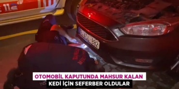 27093233422310926747tasarimli