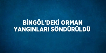27094266292729224043tasarimli