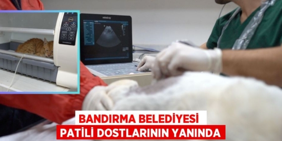 BANDIRMA BELEDİYESİ  PATİLİ DOSTLARININ YANINDA