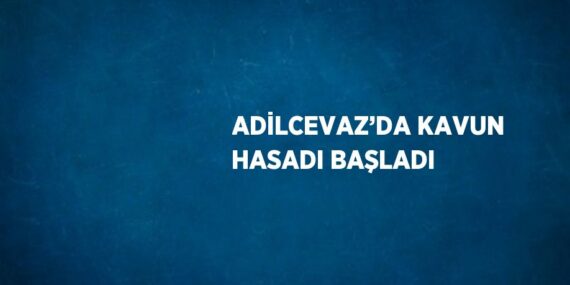 ADİLCEVAZ’DA KAVUN HASADI BAŞLADI