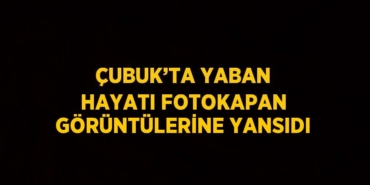 27113308972818927920tasarimli