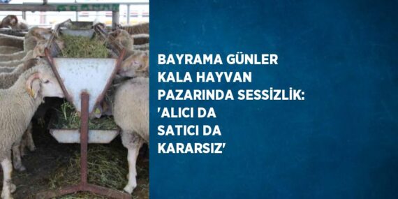 BAYRAMA GÜNLER KALA HAYVAN PAZARINDA SESSİZLİK: ‘ALICI DA SATICI DA KARARSIZ’