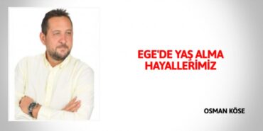 27120231852574926486