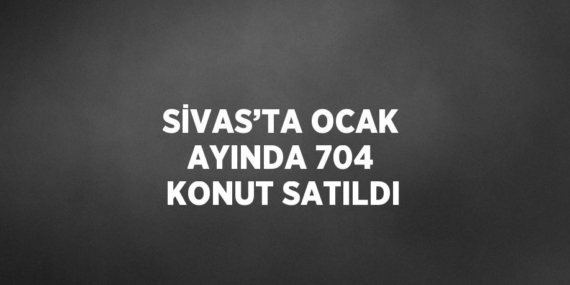 SİVAS’TA OCAK AYINDA 704 KONUT SATILDI