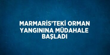 27131274472044831860tasarimli