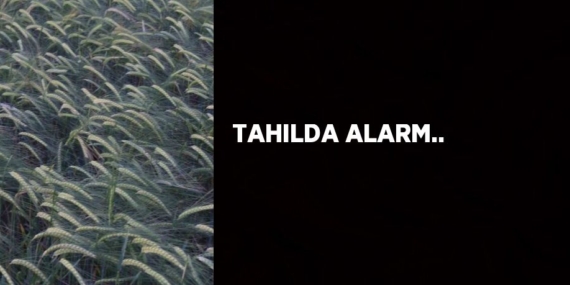 TAHILDA ALARM..