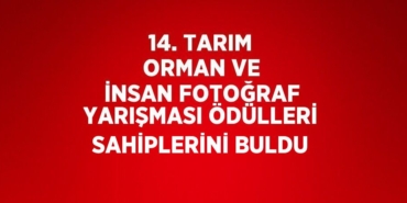 27147293072077028152tasarimli