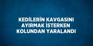 27152212543145220193tasarimli