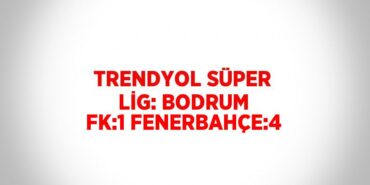 27153264542385521761tasarimli
