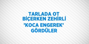 27158262372053128556tasarimli