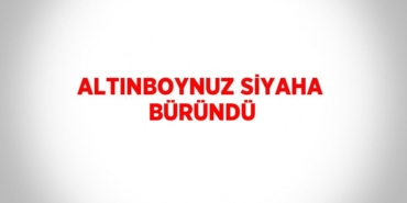 27160240083080728761tasarimli