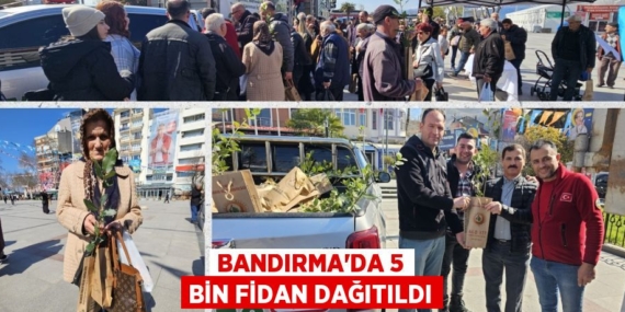 BANDIRMA’DA 5 BİN FİDAN DAĞITILDI