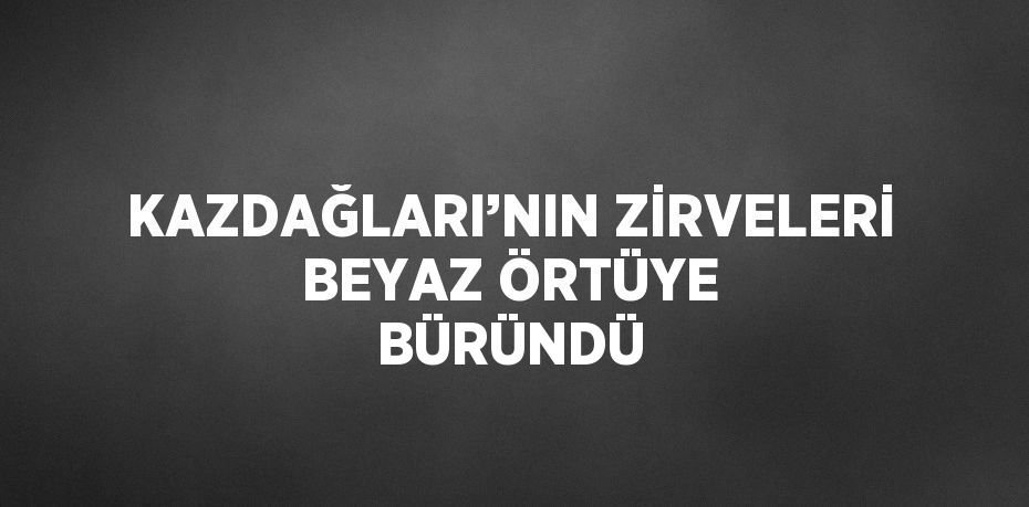 27167256842441531273tasarimli