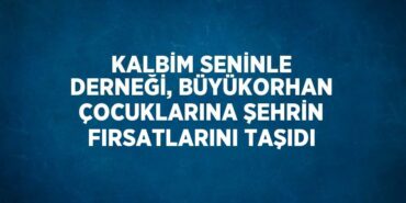 27173282362499128167tasarimli