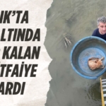 27175238092154324414