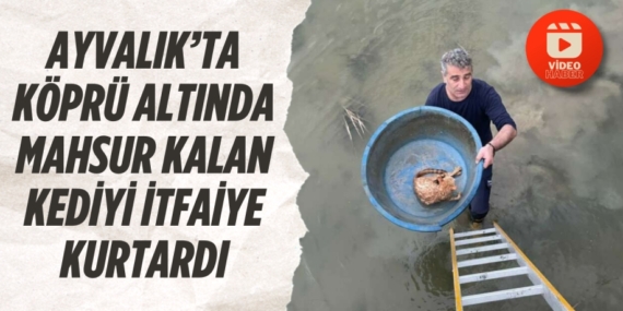 AYVALIK’TA KÖPRÜ ALTINDA MAHSUR KALAN KEDİYİ İTFAİYE KURTARDI