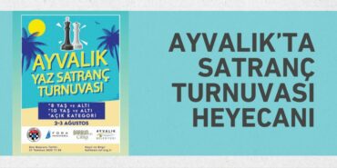 27179213492733729157