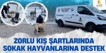 27184276142793822528