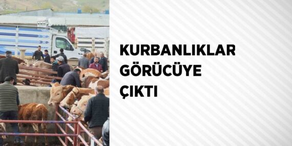 KURBANLIKLAR GÖRÜCÜYE ÇIKTI
