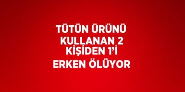 27193295812468822567tasarimli