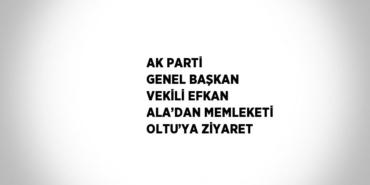 27195251952335226519